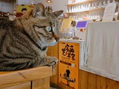 -栖咖啡(泉舜店)