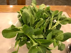鸡毛菜-牛街·马辈儿涮肉(牛街二店)