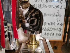 -more than meow吴止猫主题餐厅(承德 中船汇店)