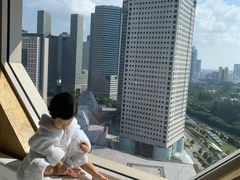 -新加坡丽思卡尔顿美年酒店