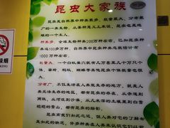 -上海昆虫博物馆