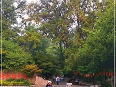 -大伊山景区