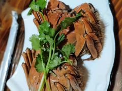 -呼吸森林·生态农庄农家乐私房菜