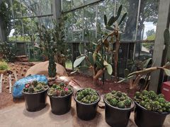 -南通洲际绿博园