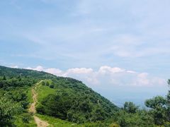 -北京鹫峰国家森林公园