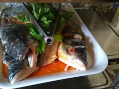-蜀滋香鲜鱼美蛙火锅(339店)
