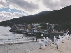 -Fergburger(皇后镇店)