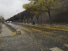 -中影国际影城(大唐西市4K临境音店)