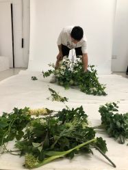 点击看大图 -果石摄影(汉街skp店)