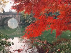 -西湖外事游船(花港观鱼码头)