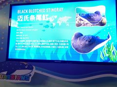 -海合安成都极地海洋公园