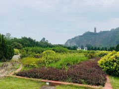 -南沙天后宫景区