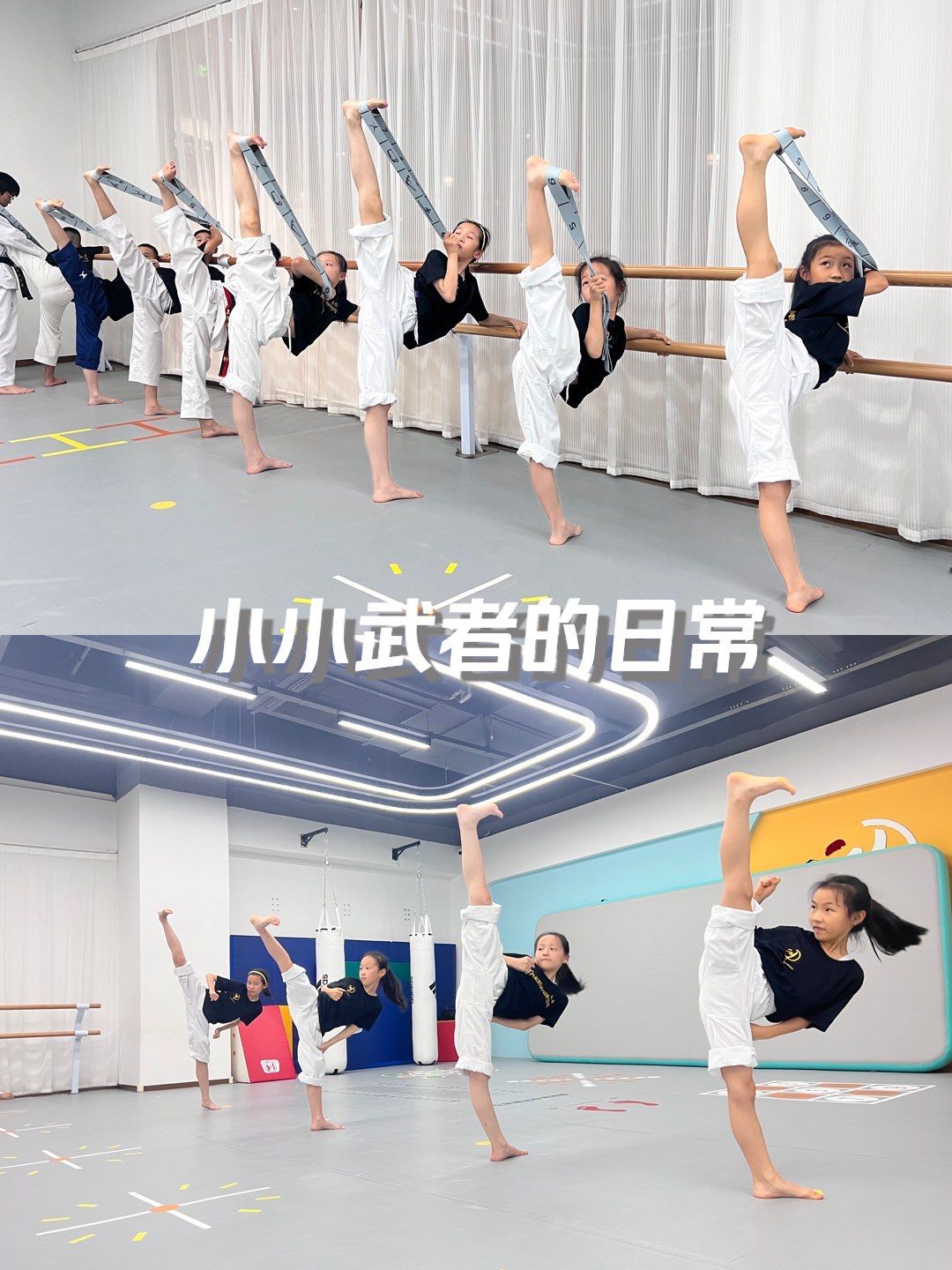 跆拳道侧踢训练