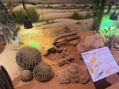 -正佳雨林生态植物园