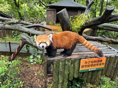 -云南野生动物园