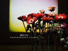 -Nathalie Djurberg与Hans Berg“牛皮纸包裹的月亮”-Prada荣宅当季展览