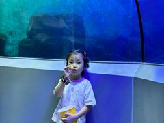 -洛阳龙门海洋馆