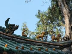 -关林