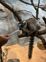 -Zoolung Zoolung动物主题公园(海信广场店)