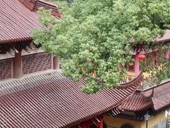 景点-云碧峰国家森林公园