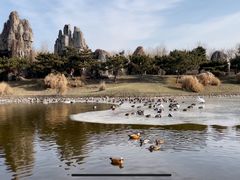 -北京野生动物园