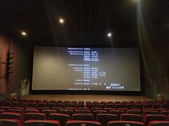 -保利国际影城(中环店)