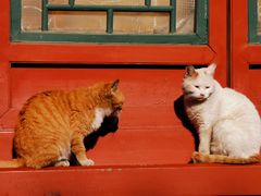 -晋阳饭庄(虎坊桥店)