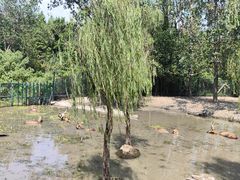 -溱湖国家湿地公园