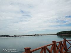 -丁香湖公园