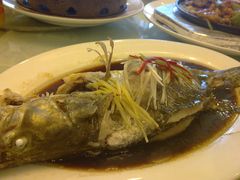 清蒸桂鱼—2斤4两235.2元~肉质很鲜嫩~就是菜太多了剩了好多-燕春楼(海河华鼎店)