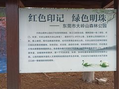 -东莞市大岭山森林公园