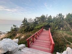-养马岛旅游度假区