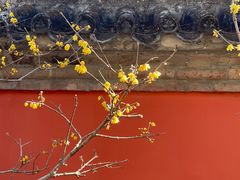 -国家植物园南园