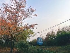 -太湖渔洋山