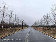 -黄海国家森林公园