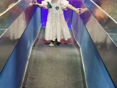 -石家庄海洋公园
