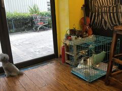大堂-志龙皇冠吃货椰子铺