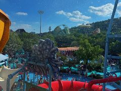 -苏州乐园森林水世界