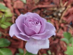 -滨河世纪广场公园