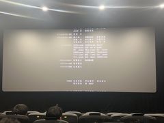 -SFC上影影城(港汇永华IMAX激光店)