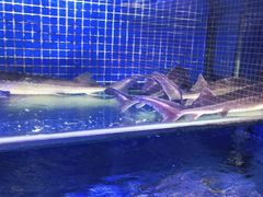 -青蓬蒸汽海鲜·深圳老字号·团建聚会(壹方城店)