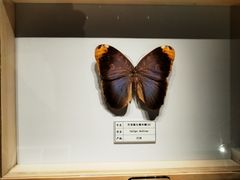 -四川宋瓷博物馆