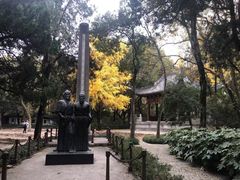 -汇龙潭