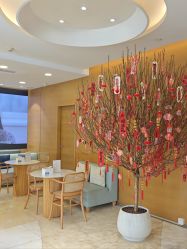 -杭州贝瑞斯美华妇儿医院·早孕·产检·儿科