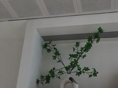 -极简口腔(总院)