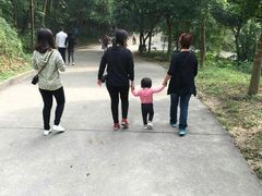 -中山市树木园