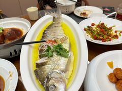 -鲁宴·鲁煨黄河生态大鲤鱼(月坛店)