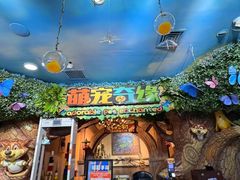 -萌宠奇缘(荣鼎店)