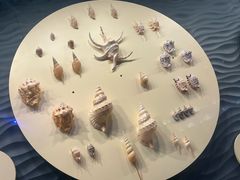 -中国（海南）南海博物馆