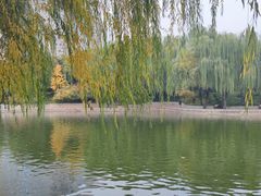 -团结湖公园
